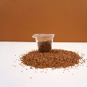 graine microgreen colette roquette.webp