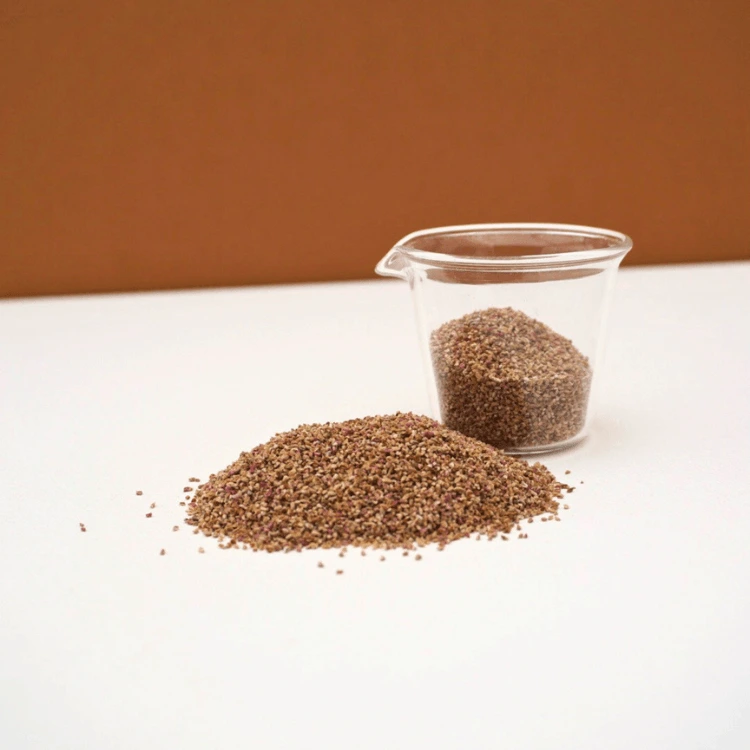 graines micropousse salicorne cress.webp