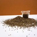 microgreen graines micro pousse france.webp