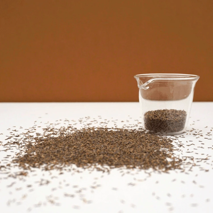 micropousse pour stevia graines.webp