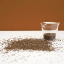 micropousse pour stevia graines.webp