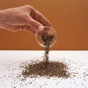 micro pousse stevia cress frzncaise.webp
