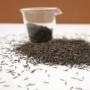 tagete mentholee cress colette graines.webp