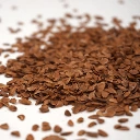 toona graine micropousse francaises.webp