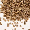 graines micro seeds coriandre.webp