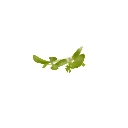graines de icro pousse de coriandre par colette graines.webp