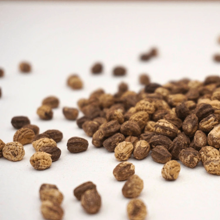 graines de cpaucine micropousse.webp