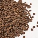 cress micro pousse hibiscus.webp
