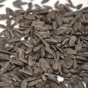 Graines Tournesol micro-pousses.webp