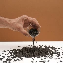 Seeds cress micro pousse tournesol.webp
