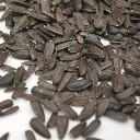 Graines de tournesol pour micro-pousses.webp