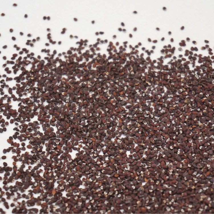 microgreen lavande cress.webp