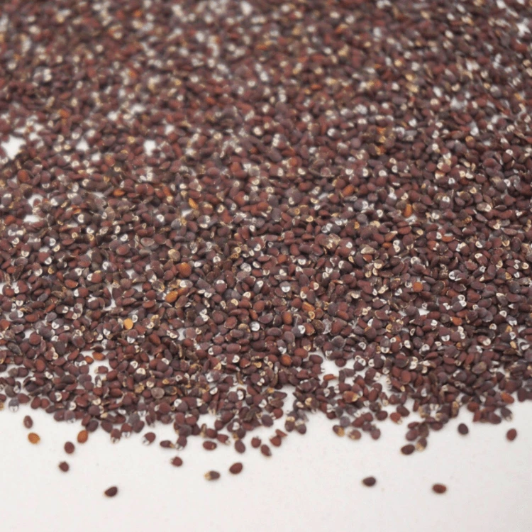 micropousse lavande microgreen.webp