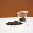 graines de lavande cress.webp
