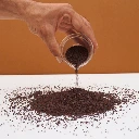 graines de moutarde pour micro pousse.webp