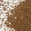 microgreen carotte cress.webp