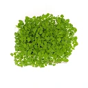 Graines de Basilic citron AB pour micro-pousses