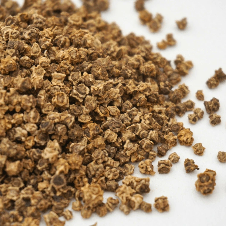 [SABLETTETRICOAB150] Graines de Blette tricolore bio pour micro-pousses (150g)