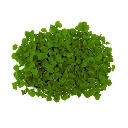 Sachet de basilic vert